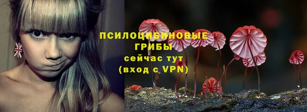 скорость Медвежьегорск