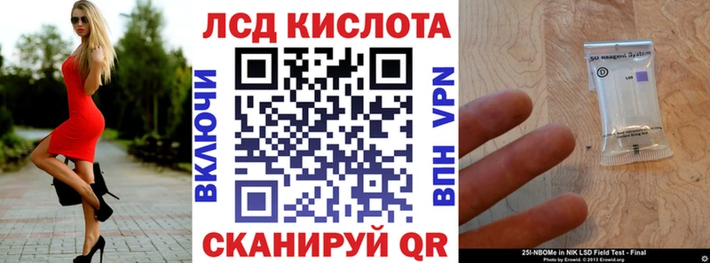 продажа наркотиков  Павловский Посад  Наркотические марки 1,5мг 