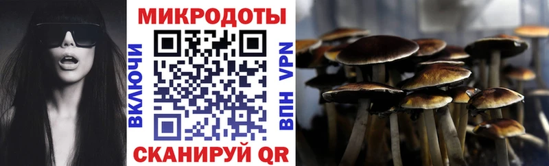 Галлюциногенные грибы Magic Shrooms  сайты даркнета состав  Павловский Посад 
