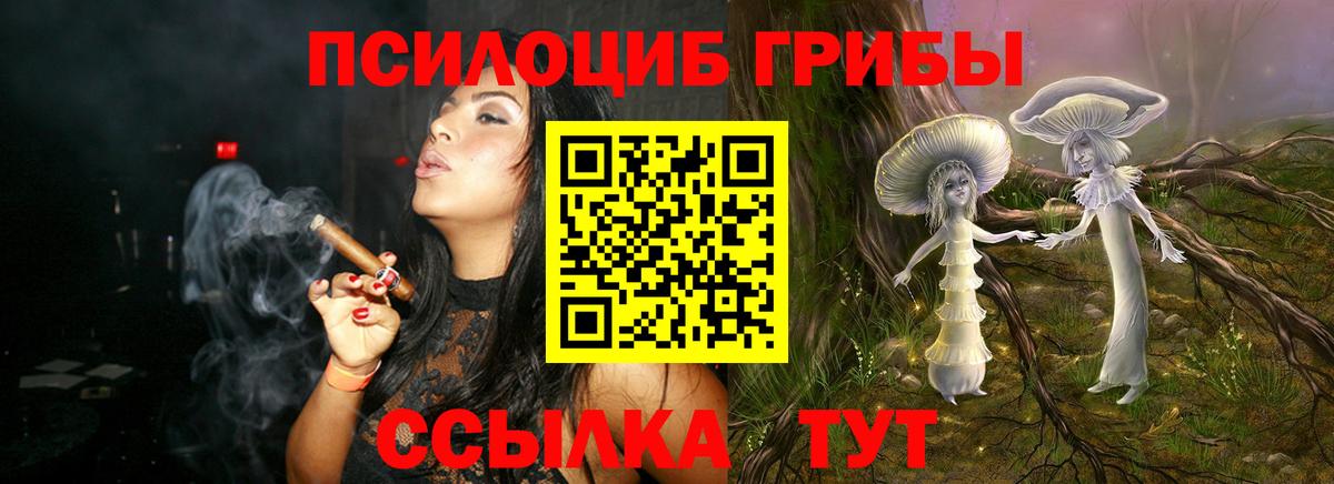 Павловский Посад  Галлюциногенные грибы прущие грибы  Вход с VPN  Галлюциногенные грибы Psilocybe 