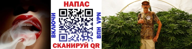Бошки Шишки SATIVA & INDICA  кракен ССЫЛКА  маркетплейс как зайти  Павловский Посад 